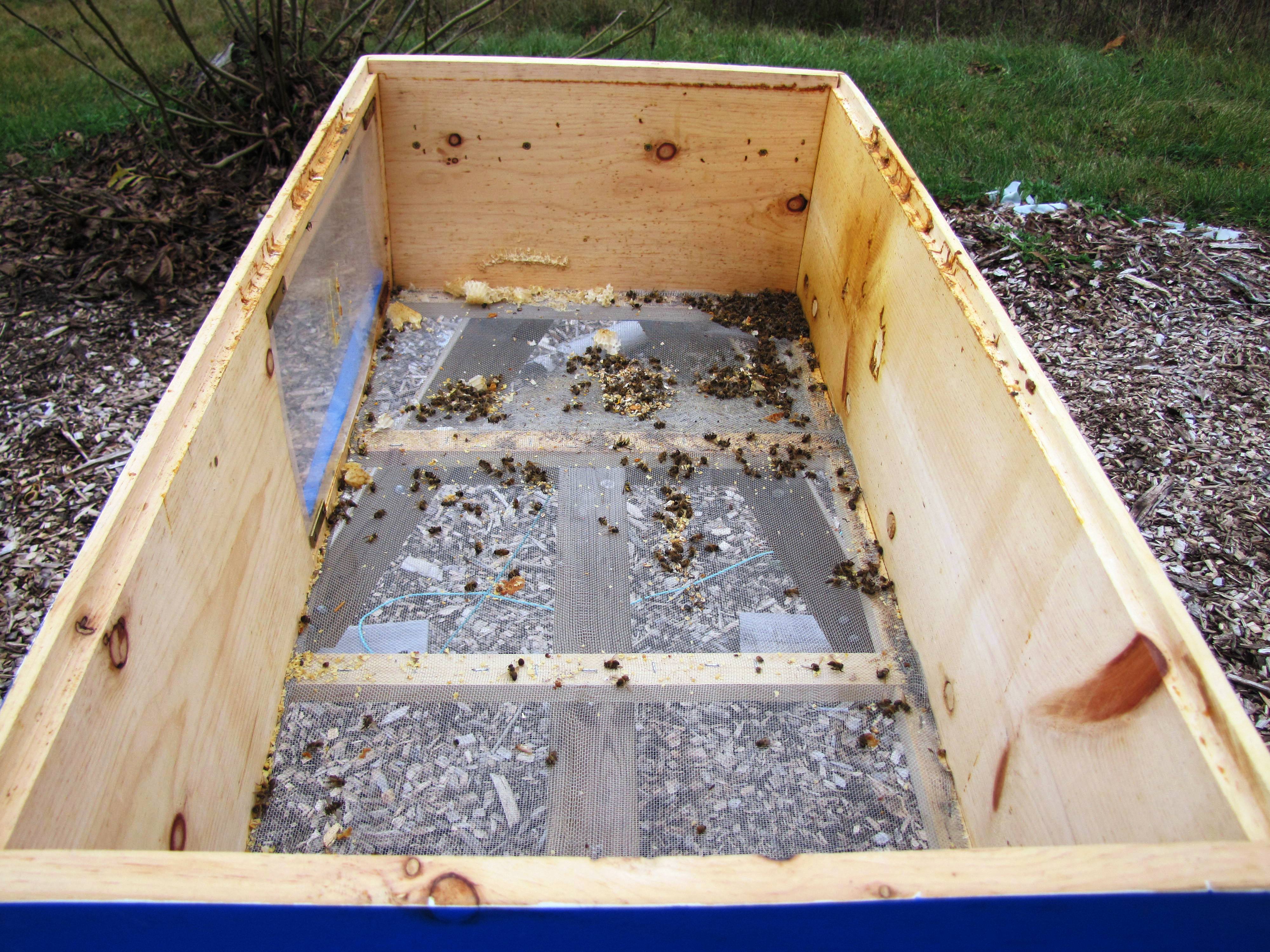 Why Our Hive is the Way It Is – Part Seven: Screened ...